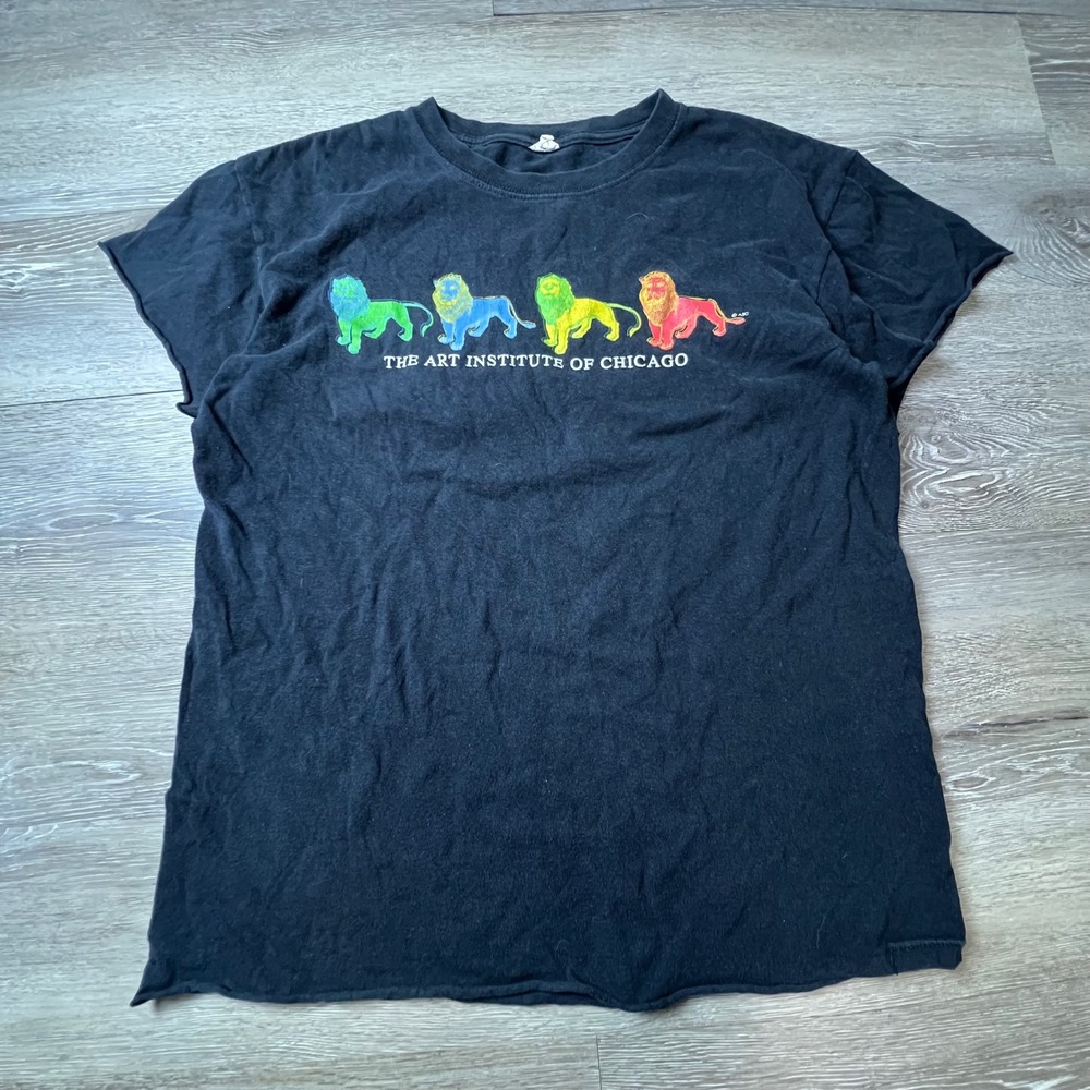 Y2K Art Institute of Chicago Shirt Mens M Black Rainbow Lion Graphic Tee Anvil